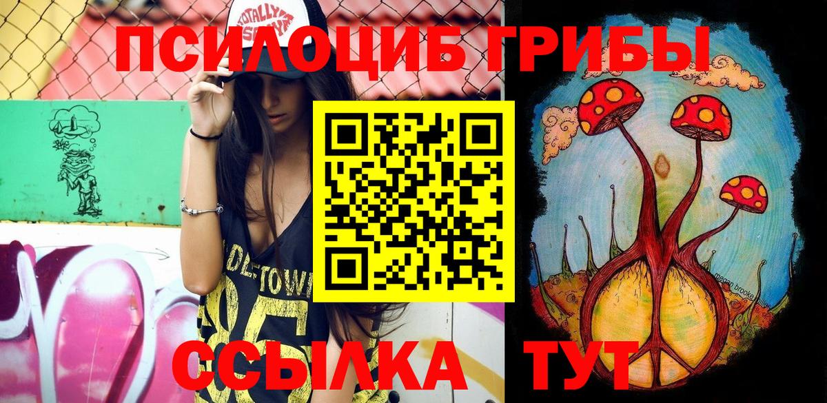 Галлюциногенные грибы Cubensis Асино